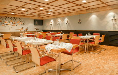 Hotel Wilder Mann - Aschaffenburg