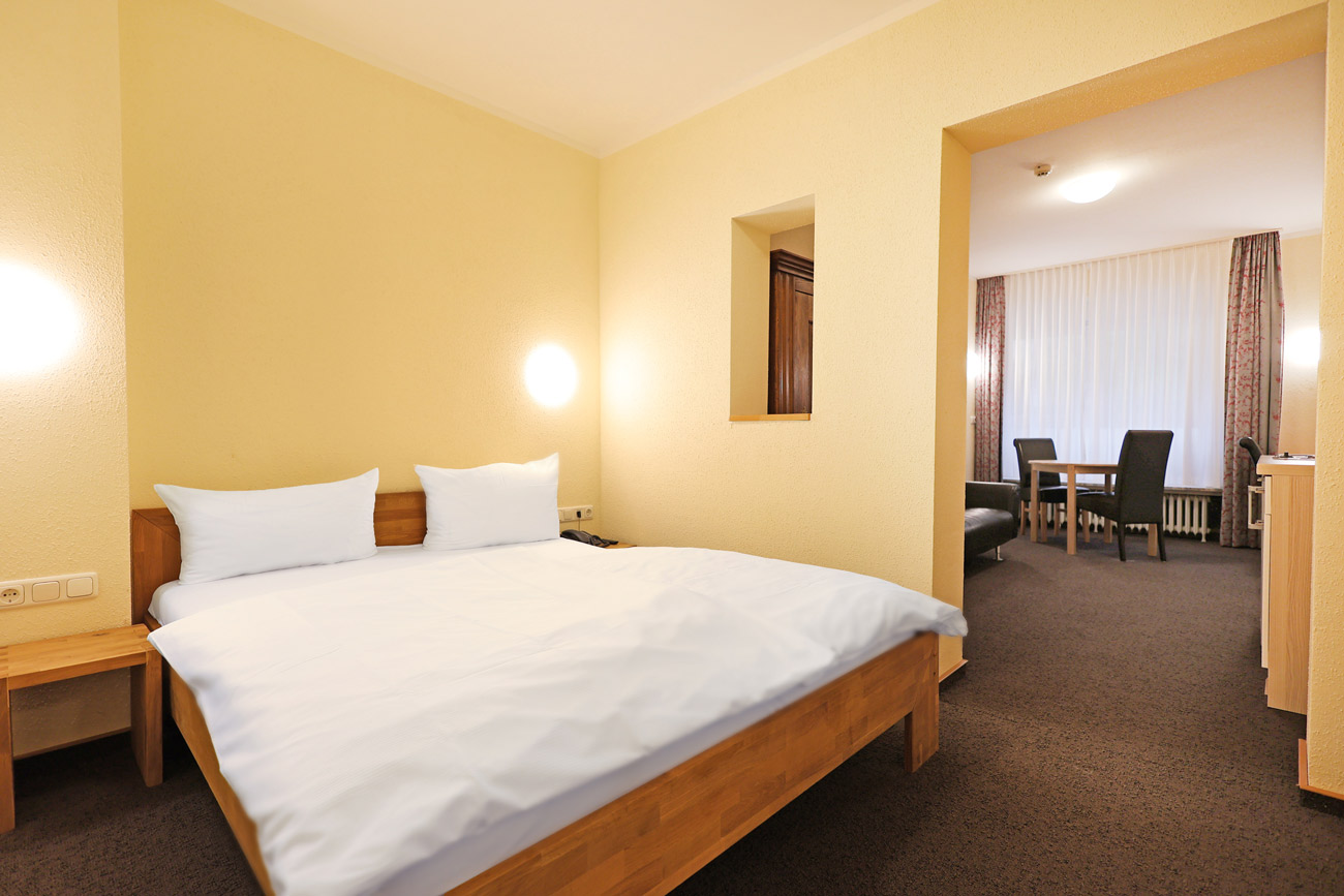 Hotel Wilder Mann Hotel Am Stiftsberg - Aschaffenburg